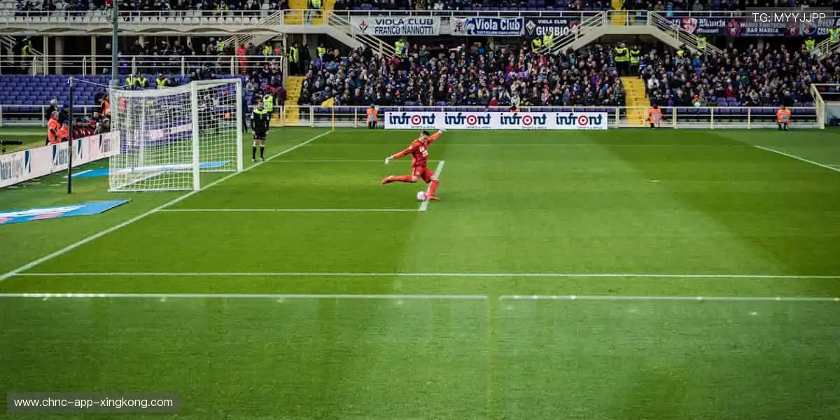 🏆 从看台到赛场，你的每一步都是传奇！🏃♂️